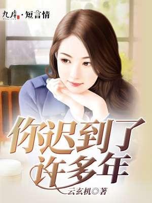 你迟到了许多年封面