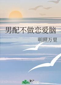 男配不做恋爱脑封面