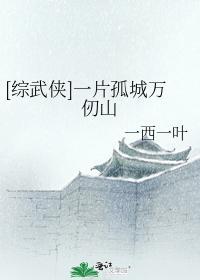 [综武侠]一片孤城万仞山封面