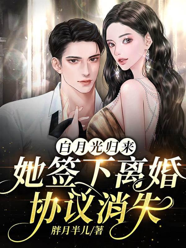 白月光归来,她签下离婚协议消失封面