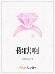 你瞎啊封面