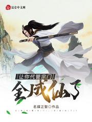 少龙传奇封面