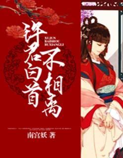 许君白首不相离封面