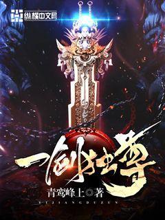 一剑独尊封面