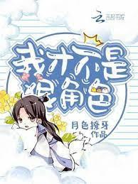 我才不是狠角色封面