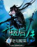 斗破后传封面