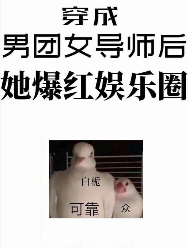 穿成男团选秀女导师后她爆红娱乐圈封面