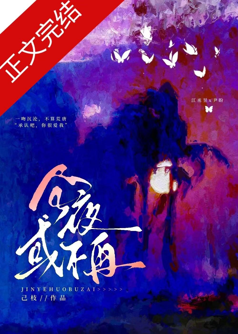 今夜或不再封面
