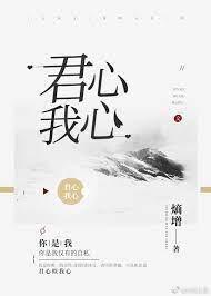 君心我心封面