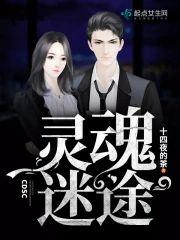 灵魂迷途封面