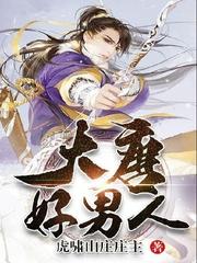 大唐好男人封面