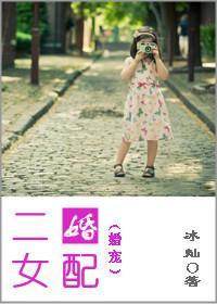 二婚女配(婚宠)封面