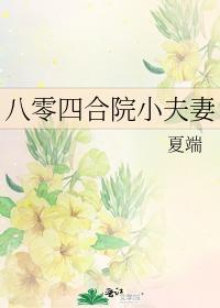八零四合院小夫妻封面