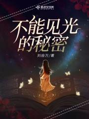 不能见光的秘密封面