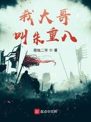 我大哥叫朱重八封面