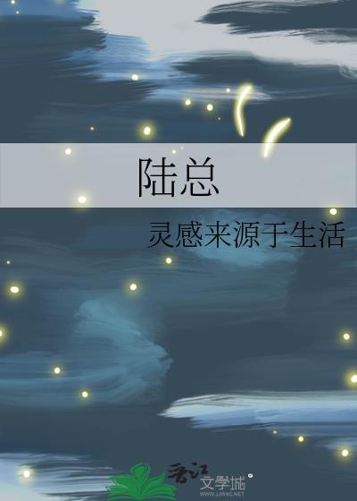 陆总封面