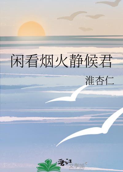 闲看烟火静候君封面