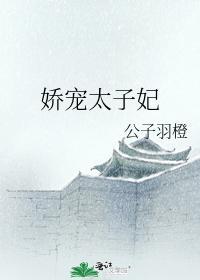 娇宠太子妃封面