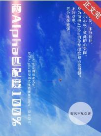两A匹配度100%封面
