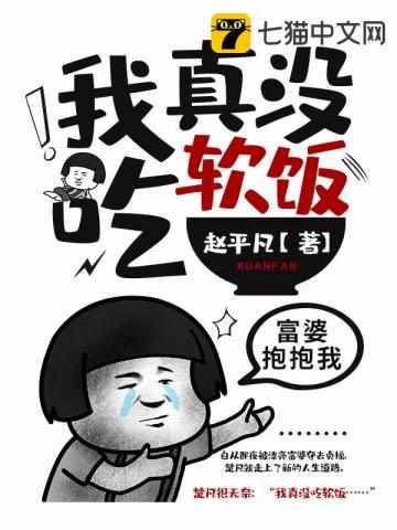 我真没吃软饭封面