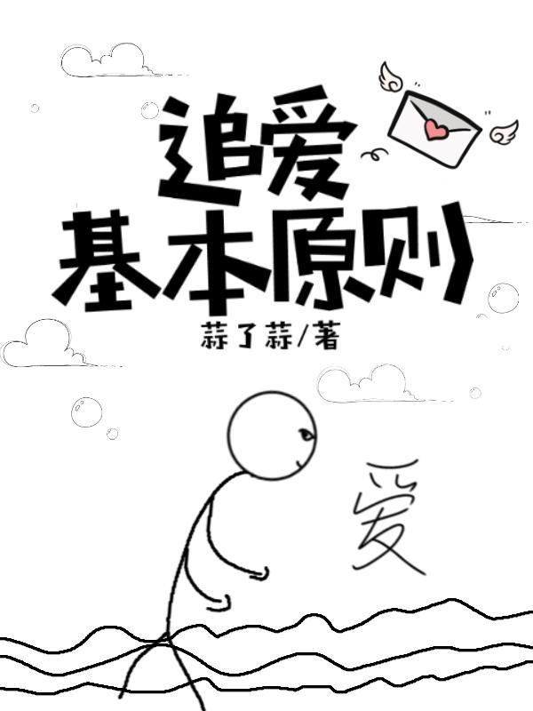 追爱基本原则封面