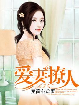 爱妻撩人封面