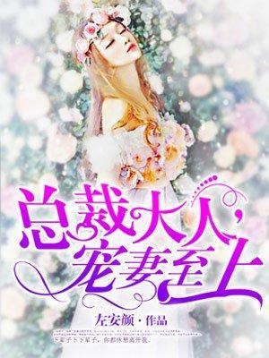 总裁大人，宠妻至上封面