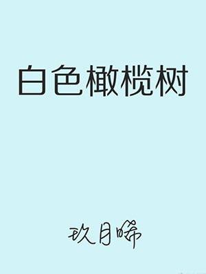 白色橄榄树封面