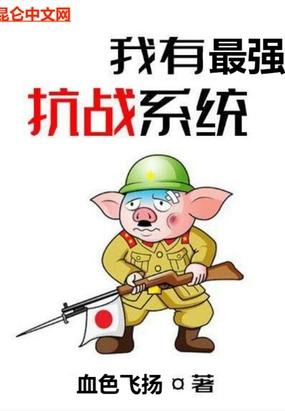 我有最强抗战系统封面