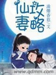 仙妻攻略封面
