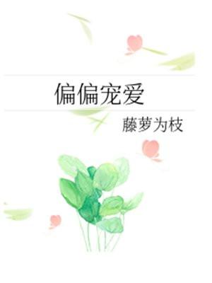 偏偏宠爱封面