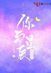 你与星辰共夺目封面