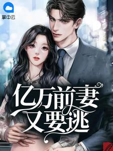 霍司爵温翔翔封面