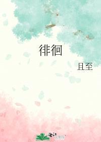 徘徊封面