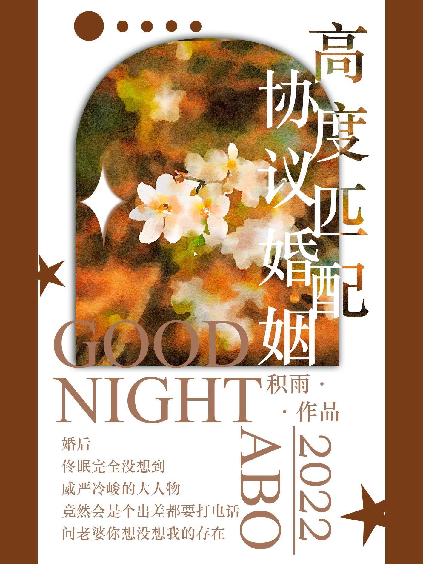 高度匹配协议婚姻封面