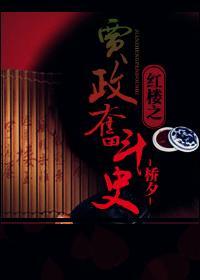 贾政奋斗史封面