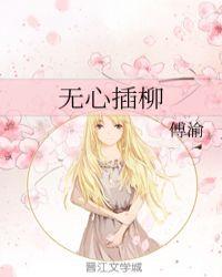 无心插柳封面