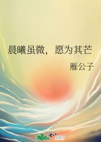 晨曦虽微，愿为其芒封面