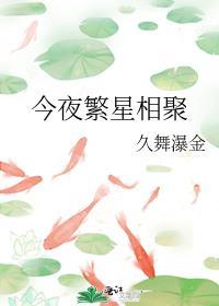 今夜繁星相聚封面