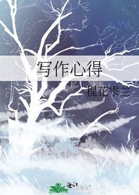 写作心得封面
