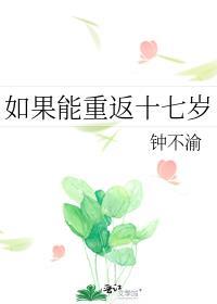 如果能重返十七岁封面