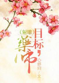 （射雕）目标，药师！封面