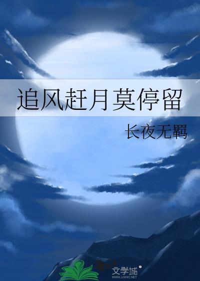追风赶月莫停留封面