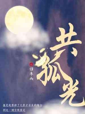 共孤光封面