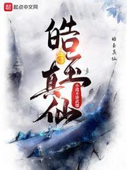 皓玉真仙封面