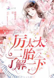 厉太太,二胎了解一下!封面