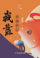 我靠做NPC修仙[全息]封面