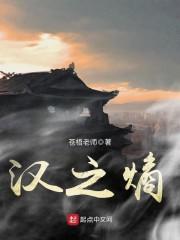 汉之熵封面