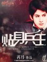 贴身兵王封面