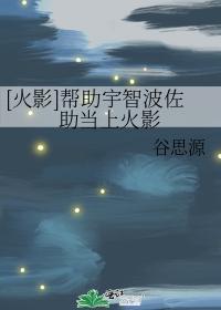 [火影]帮助宇智波佐助当上火影封面